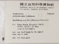 登錄號:F0025330藏品圖，第2張