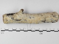 登錄號:F0025332藏品圖，第1張