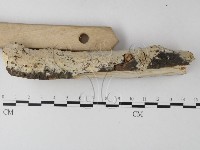 登錄號:F0025332藏品圖，第3張