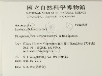 登錄號:F0025333藏品圖，第2張