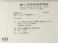 筍殼菌屬藏品圖，第2張