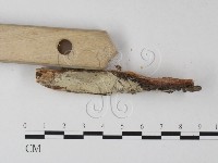 登錄號:F0025336藏品圖，第3張