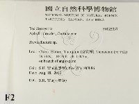 登錄號:F0025337藏品圖，第2張