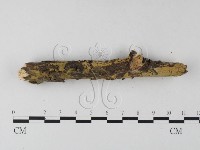 登錄號:F0025337藏品圖，第1張