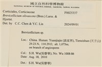 登錄號:F0025337藏品圖，第4張