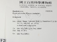 纖孔菌屬藏品圖，第2張