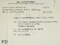 登錄號:F0025340藏品圖，第2張