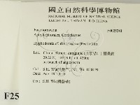 登錄號:F0025341藏品圖，第2張