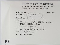 登錄號:F0025344藏品圖，第2張