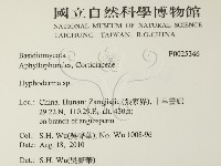 絲皮菌屬藏品圖，第2張