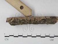 登錄號:F0025348藏品圖，第5張