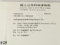 登錄號:F0025349藏品圖，第2張