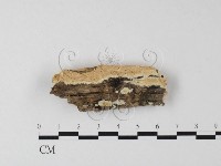 登錄號:F0025349藏品圖，第1張