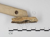 登錄號:F0025349藏品圖，第3張