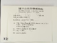 冇骨消絲齒菌藏品圖，第2張