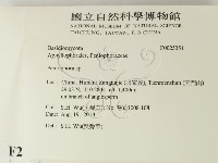 筍殼菌屬藏品圖，第2張