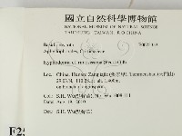 登錄號:F0025353藏品圖，第2張