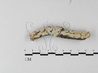 登錄號:F0025353藏品圖，第1張