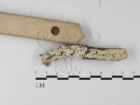 登錄號:F0025353藏品圖，第3張