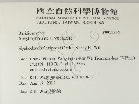 登錄號:F0025354藏品圖，第2張