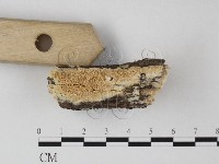 登錄號:F0025354藏品圖，第1張