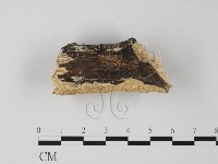 登錄號:F0025354藏品圖，第3張