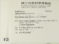 登錄號:F0025356藏品圖，第2張