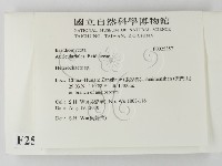 刺皮菌屬藏品圖，第2張