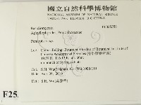 筍殼菌屬藏品圖，第2張