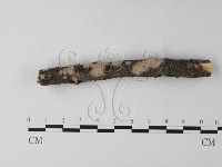 登錄號:F0025360藏品圖，第1張