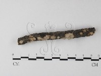 登錄號:F0025360藏品圖，第3張