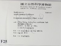 登錄號:F0025362藏品圖，第2張