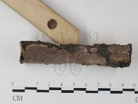 登錄號:F0025362藏品圖，第3張