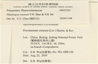 登錄號:F0025362藏品圖，第4張