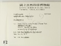 多年臥孔菌屬藏品圖，第2張