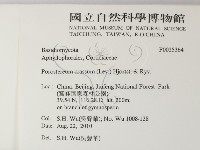 登錄號:F0025364藏品圖，第2張