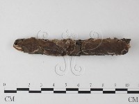 登錄號:F0025364藏品圖，第1張