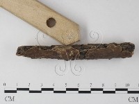 登錄號:F0025364藏品圖，第3張