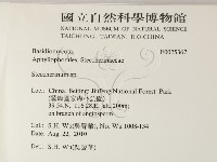 齒耳菌屬藏品圖，第2張