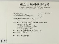剛毛絲皮菌藏品圖，第2張