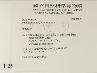 登錄號:F0025370藏品圖，第2張