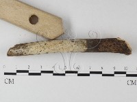 登錄號:F0025372藏品圖，第1張