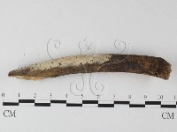 登錄號:F0025372藏品圖，第3張