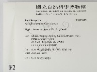 剛毛絲皮菌藏品圖，第2張