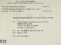 登錄號:F0025376藏品圖，第2張