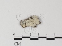 登錄號:F0025376藏品圖，第1張