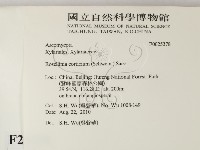 登錄號:F0025378藏品圖，第2張