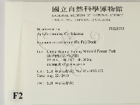 剛毛絲皮菌藏品圖，第2張