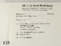 多年臥孔菌屬藏品圖，第2張