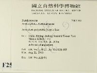 毛木耳藏品圖，第2張